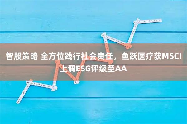 智股策略 全方位践行社会责任，鱼跃医疗获MSCI上调ESG评级至AA
