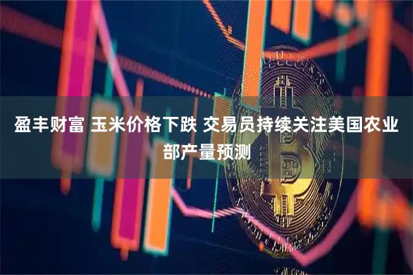 盈丰财富 玉米价格下跌 交易员持续关注美国农业部产量预测