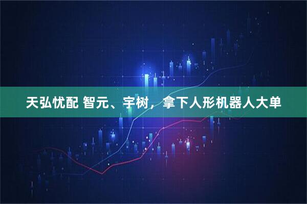 天弘忧配 智元、宇树，拿下人形机器人大单