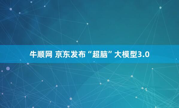 牛顺网 京东发布“超脑”大模型3.0